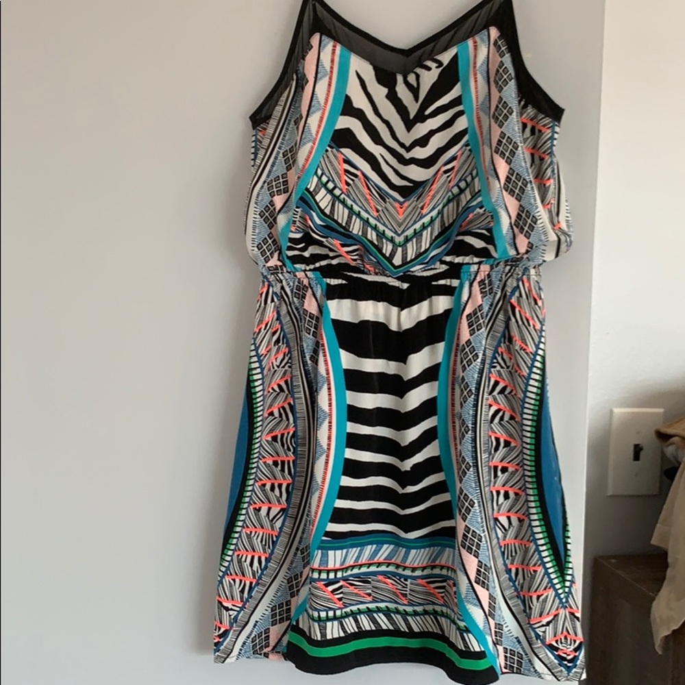 Express zebra print dress